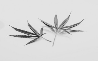 Лечение наркомании в Явасе